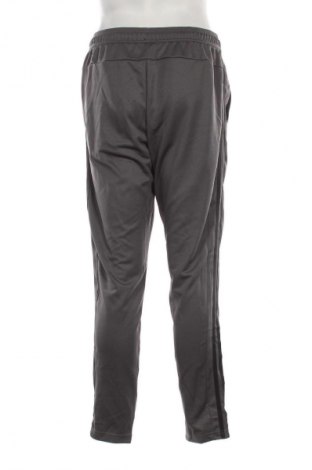 Herren Sporthose Adidas, Größe L, Farbe Grau, Preis € 58,99