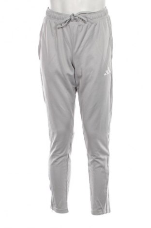 Herren Sporthose Adidas, Größe M, Farbe Grau, Preis 35,99 €