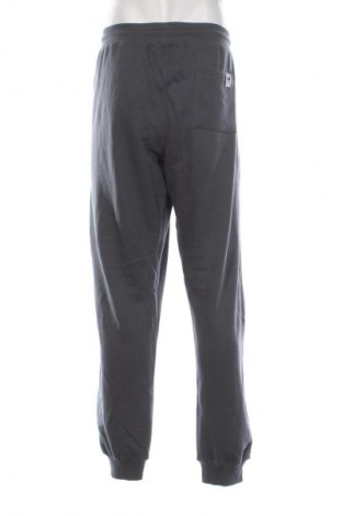 Herren Sporthose Roadsign, Größe M, Farbe Grau, Preis 41,99 €