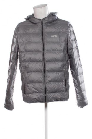 Herrenjacke Cygnus, Größe L, Farbe Grau, Preis 22,99 €