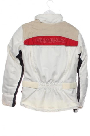 Herrenjacke Pharao, Größe XS, Farbe Mehrfarbig, Preis 94,99 €