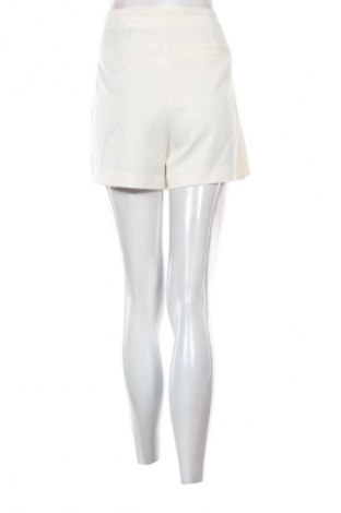 Sukňa- nohavice  H&M, Veľkosť L, Farba Kremová, Cena  7,95 €