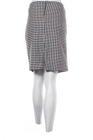 Fustă Chic, Mărime L, Culoare Multicolor, Preț 50,00 Lei