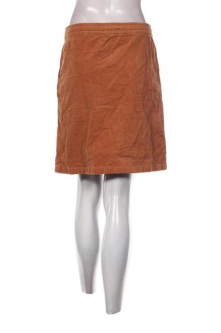 Rock Essentials by Tchibo, Größe M, Farbe Braun, Preis € 10,99