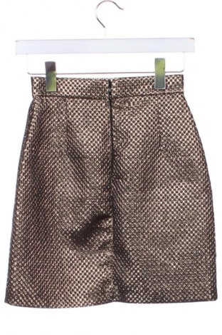 Fustă Poema, Mărime XXS, Culoare Auriu, Preț 108,00 Lei