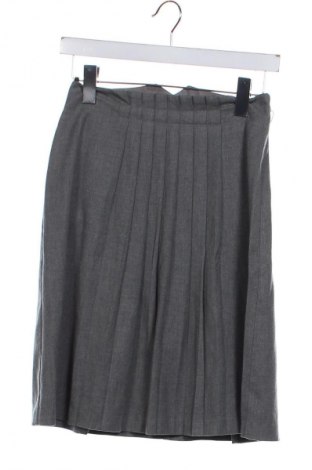 Fustă Sisley, Mărime XS, Culoare Gri, Preț 145,00 Lei