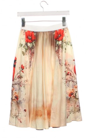 Sukňa Unbranded, Veľkosť XS, Farba Viacfarebná, Cena  12,00 €