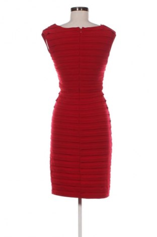 Φόρεμα Adrianna Papell, Μέγεθος S, Χρώμα Κόκκινο, Τιμή 41,98 €
