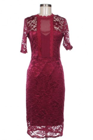 Kleid Almost Famous, Größe L, Farbe Mehrfarbig, Preis € 20,02