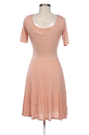 Kleid Attr@ttivo, Größe M, Farbe Mehrfarbig, Preis € 25,00