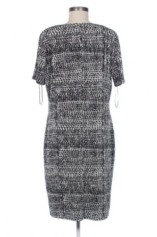 Kleid Betty Barclay, Größe XL, Farbe Mehrfarbig, Preis € 55,99