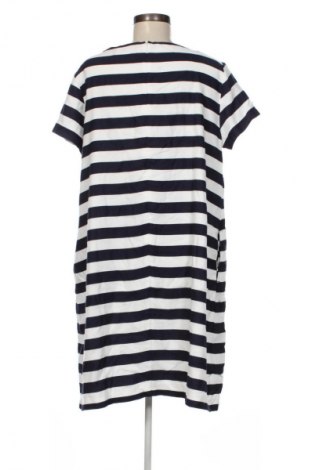 Kleid Betty Barclay, Größe L, Farbe Mehrfarbig, Preis 42,99 €