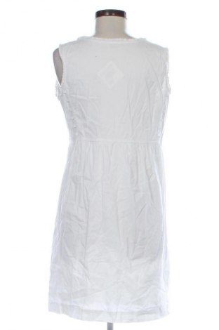 Šaty  Bleifrei, Veľkosť M, Farba Biela, Cena  25,00 €
