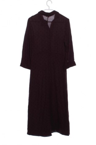 Kleid Clockhouse, Größe XS, Farbe Mehrfarbig, Preis € 33,89