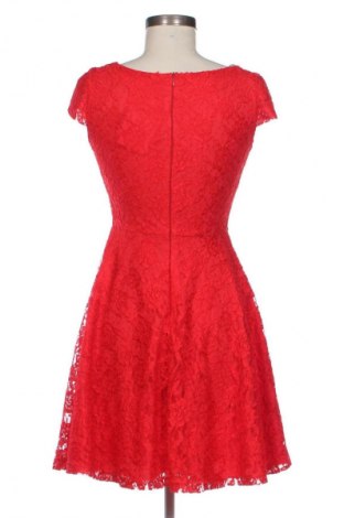 Kleid Desiree, Größe S, Farbe Mehrfarbig, Preis € 42,00