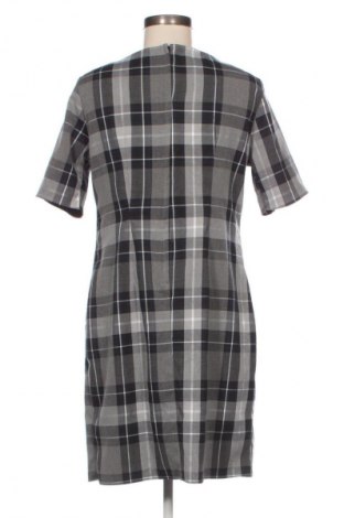 Kleid Dorothy Perkins, Größe M, Farbe Mehrfarbig, Preis € 13,81