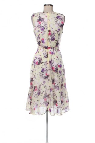 Kleid Dorothy Perkins, Größe M, Farbe Mehrfarbig, Preis € 17,36