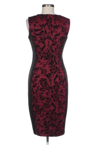 Kleid En focus Studio, Größe M, Farbe Mehrfarbig, Preis € 20,02