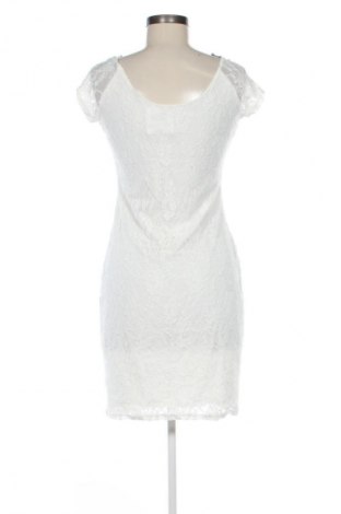 Kleid Esqualo, Größe M, Farbe Weiß, Preis € 19,99