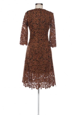 Kleid Hallhuber, Größe XS, Farbe Braun, Preis € 27,99