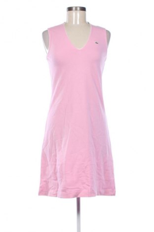 Kleid Lacoste, Größe M, Farbe Rosa, Preis € 179,80