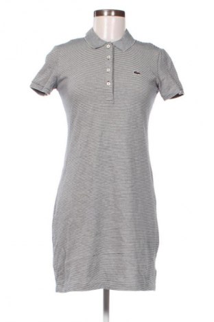 Kleid Lacoste, Größe S, Farbe Mehrfarbig, Preis € 63,99