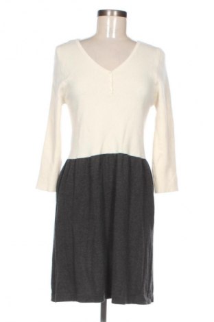 Kleid Mango, Größe XL, Farbe Mehrfarbig, Preis 25,37 €