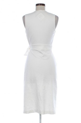 Kleid Massimo Dutti, Größe XS, Farbe Weiß, Preis € 42,05