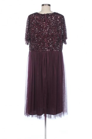 Šaty  Maya Deluxe, Veľkosť M, Farba Viacfarebná, Cena  31,71 €