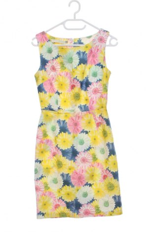 Šaty  Miss Chic, Veľkosť S, Farba Viacfarebná, Cena  15,79 €