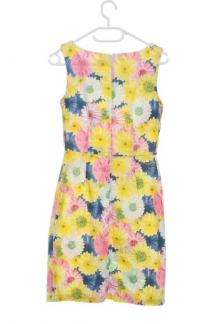 Šaty  Miss Chic, Veľkosť S, Farba Viacfarebná, Cena  15,79 €