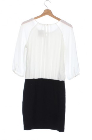 Kleid Orsay, Größe XS, Farbe Mehrfarbig, Preis € 13,99
