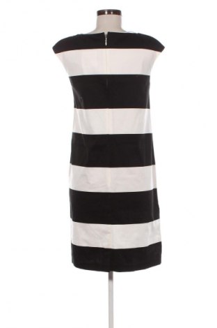 Kleid Patrizia Dini, Größe M, Farbe Mehrfarbig, Preis 55,20 €