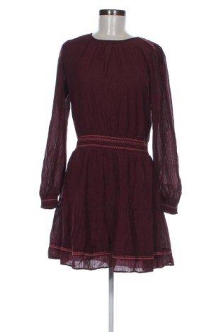 Sukienka Pepe Jeans, Rozmiar M, Kolor Kolorowy, Cena 188,51 zł