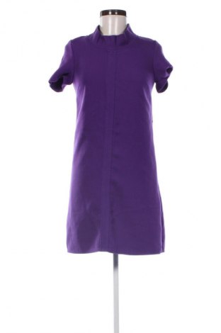 Kleid Promod, Größe XS, Farbe Lila, Preis 19,99 €