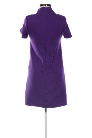 Kleid Promod, Größe XS, Farbe Lila, Preis 19,99 €