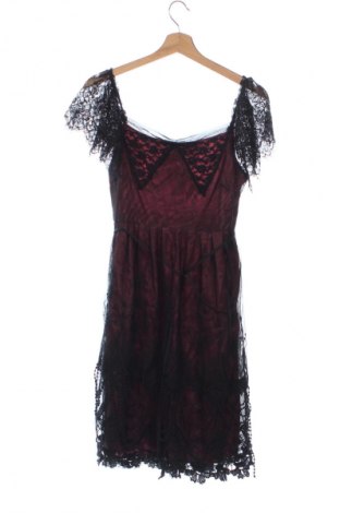 Kleid Scee by Twin-Set, Größe S, Farbe Mehrfarbig, Preis € 42,00