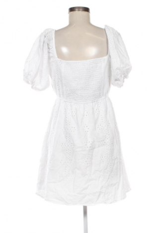 Kleid Sinsay, Größe XL, Farbe Mehrfarbig, Preis 19,95 €