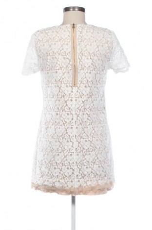 Φόρεμα Witchery, Μέγεθος L, Χρώμα Πολύχρωμο, Τιμή 41,94 €