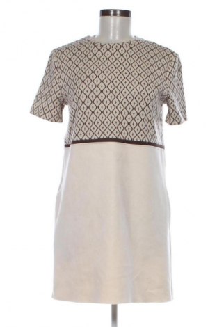 Kleid Zara, Größe S, Farbe Mehrfarbig, Preis € 13,81