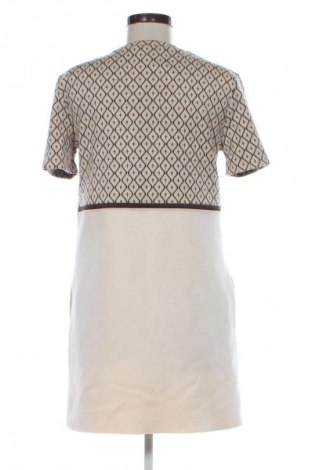 Kleid Zara, Größe S, Farbe Mehrfarbig, Preis € 13,81
