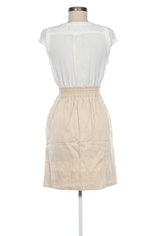 Kleid Zara, Größe XS, Farbe Mehrfarbig, Preis € 13,81