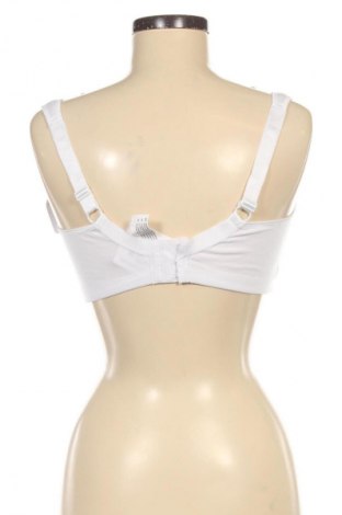 Büstenhalter Susa, Größe XL, Farbe Weiß, Preis € 41,99