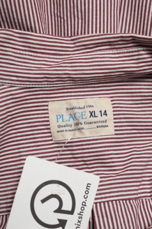 Παιδικό πουκάμισο The Children's Place, Μέγεθος 14-15y/ 168-170 εκ., Χρώμα Βιολετί, Τιμή 2,63 €