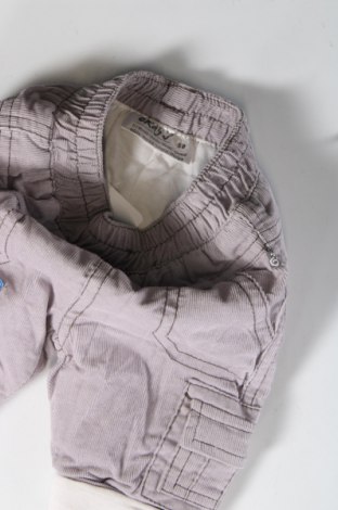 Παιδικό κοτλέ παντελόνι Okay, Μέγεθος 0-1m/ 50 εκ., Χρώμα Βιολετί, Τιμή 3,51 €