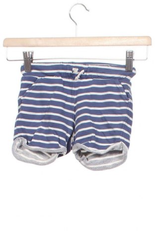Pantaloni scurți pentru copii H&M, Mărime 12-18m/ 80-86 cm, Culoare Albastru, Bumbac, Preț 85,53 Lei