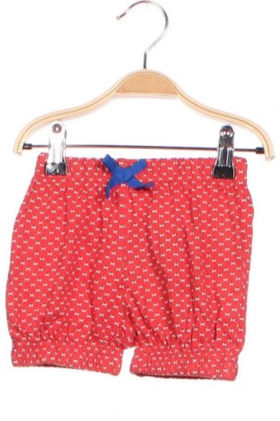 Pantaloni scurți pentru copii Lemon Beret, Mărime 6-9m/ 68-74 cm, Culoare Multicolor, Bumbac, Preț 72,63 Lei