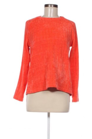 Γυναικεία μπλούζα, Μέγεθος S, Χρώμα Πορτοκαλί, Τιμή 2,35 €