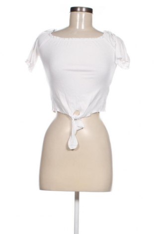 Γυναικεία μπλούζα Alcott, Μέγεθος XL, Χρώμα Λευκό, Τιμή 4,00 €