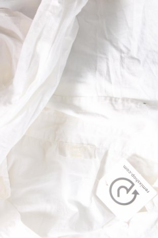 Γυναικεία μπλούζα LeGer By Lena Gercke, Μέγεθος XS, Χρώμα Λευκό, Τιμή 37,11 €